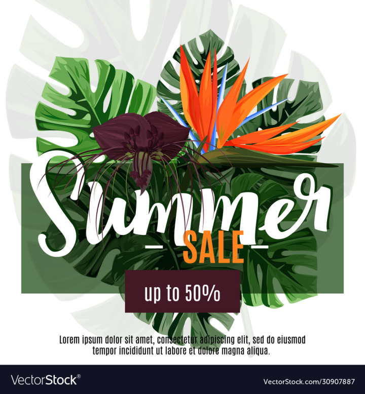 vectorstock,Summer,Sale,Tropical,Leaf,Hawaiian,Exotic,Black,White,Fabric,Rainforest,Design,Template,Floral,Plant,Fashion,Flower,Tree,Background,Wallpaper,Jungle,Print,Beach,Nature,Spring,Beauty,Green,Abstract,Palm,Decoration,Textile,Tropic,Aloha,Strelizia,Vector,Illustration,Drawing,Modern,Orange,Purple,Shopping,Flora,Geometric,Painting,Trendy,Wrapping,Botanical,Discount,Art,Bird,Of,Paradise