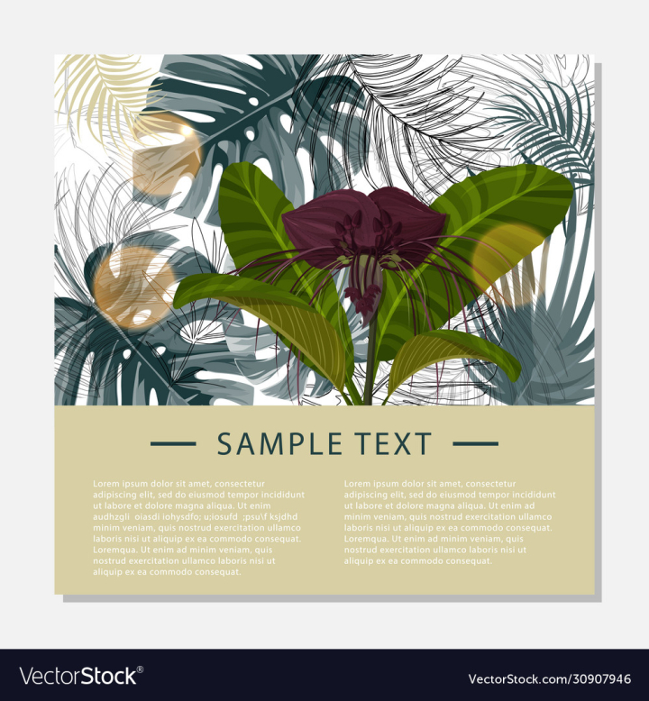 vectorstock,Fashion,Flower,Seamless,Pattern,Beach,Floral,Leaf,Tropical,Hawaiian,Purple,Print,Palm,Sale,Botanical,Advertisement,Design,Template,Dark,Rainforest,Jungle,Summer,Nature,Plant,Spring,Beauty,Exotic,Textile,Tropic,Aloha,Vector,Illustration,Black,White,Drawing,Garden,Modern,Paper,Shopping,Flora,Abstract,Geometric,Fabric,Decoration,Painting,Trendy,Safari,Wrapping,Art