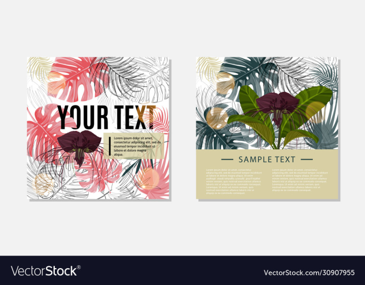 vectorstock,Floral,Design,Colorful,Spring,Seamless,Hawaiian,Pattern,Beach,Tropical,Purple,Set,Leaf,Fashion,Tropic,Template,Dark,Abstract,Geometric,Rainforest,Nature,Flower,Jungle,Print,Summer,Plant,Exotic,Palm,Sale,Textile,Advertisement,Aloha,Vector,Illustration,Black,White,Drawing,Garden,Modern,Paper,Beauty,Shopping,Flora,Fabric,Decoration,Painting,Trendy,Safari,Wrapping,Botanical,Art