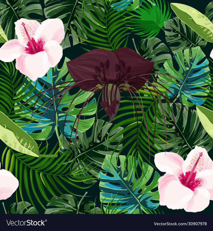 vectorstock,Flower,Pattern,Seamless,Jungle,Floral,Tropical,Hibiscus,Background,Purple,Dark,Hawaiian,Vector,Wallpaper,Beach,Fashion,Plant,Exotic,Rainforest,Black,Pink,Green,Abstract,Botanical,Design,Summer,Nature,Leaf,Spring,Palm,Textile,Tropic,Illustration,Print,Drawing,Garden,Modern,Paper,Beauty,Flora,Fabric,Decoration,Backdrop,Painting,Trendy,Safari,Wrapping