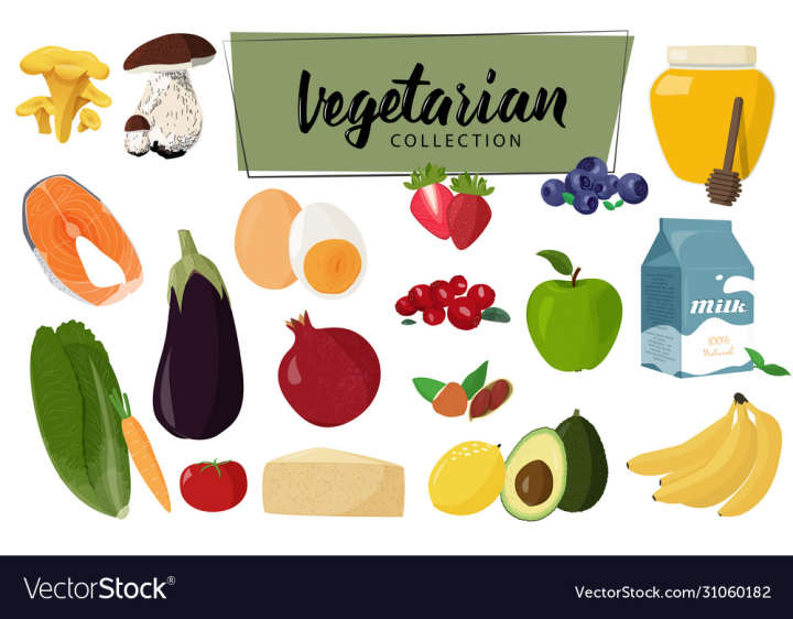 vectorstock,Food,Kitchen,Vegetable,Menu,Fruit,Vegetarian,Collection,Background,Healthy,Nuts,Set,Green,Salad,Avocado,Fresh,Meal,Vector,Illustration,Apple,Seamless,Milk,Strawberry,Blueberry,Cranberry,Drawing,Summer,Nature,Restaurant,Organic,Template,Cooking,Ingredient,Diet,Juicy,Eggplant,Tomatoes,Aubergine,Cheese,Cafe,Mushrooms,Harvest,Eggs,Honey,Tasty,Cep,Salmon,Carrot,Bananas,Pomegranate,Chanterelles