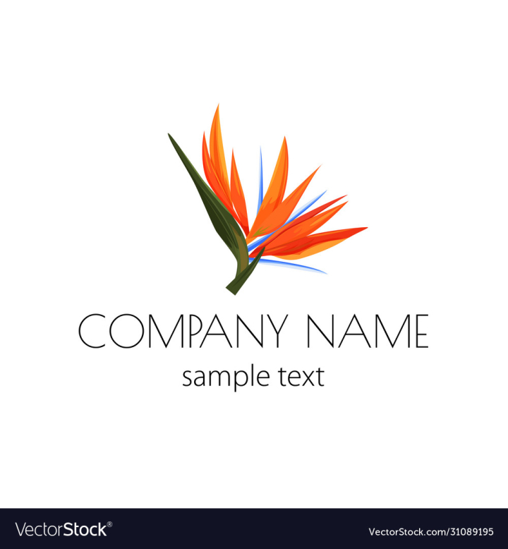 vectorstock,Logo,Flower,Paradise,Tropical,Bird,Brand,Shop,Strelizia,Greenhouse,Sign,Summer,Icon,Plant,Bloom,Graphic,Organic,Vector,Design,Blossom,Floral,Nature,Label,Beauty,Natural,Orange,Fresh,Yellow,Healthy,Eco,Rainforest,Quality,Green,Template,Sticker,Business,Abstract,Element,Wild,Exotic,Banner,Bouquet,Isolated,Emblem,Insignia,Nutrition,Diet,Market,Illustration