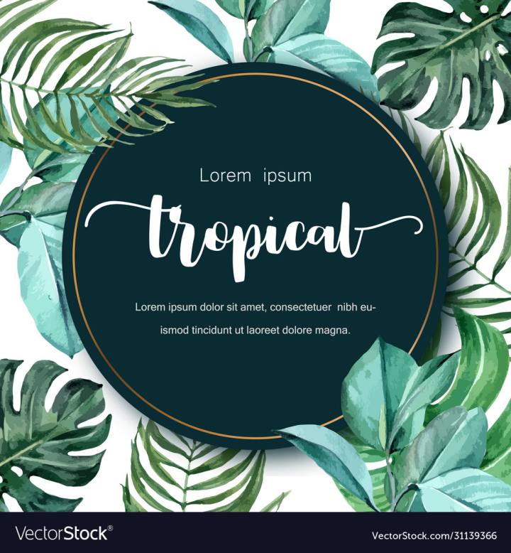 vectorstock,Frame,Tropical,Leaves,Monstera,Jungle,Watercolor,Leaf,Design,Background,Floral,Fern,Border,Foliage,Tree,Drawing,Flowers,Vector,Template,Decorative,Illustration,Plant,Food,Banner,Transparent,Fall,Color,Bright,Abstract,Element,Celebration,Decoration,Backdrop,Colorful,Painting,November,Philodendron,White,Red,Drawn,Light,Nature,Natural,Orange,Season,Yellow,Vegetable,Typography,Seasonal,Age,Rowan,Brightness