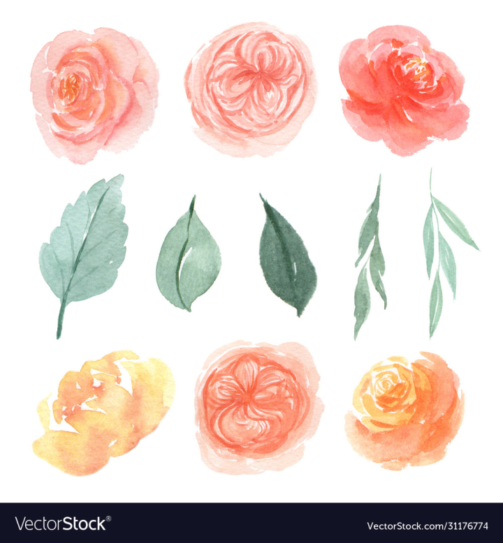 Watercolor Floral Border Painted Loose Style Stock Illustration