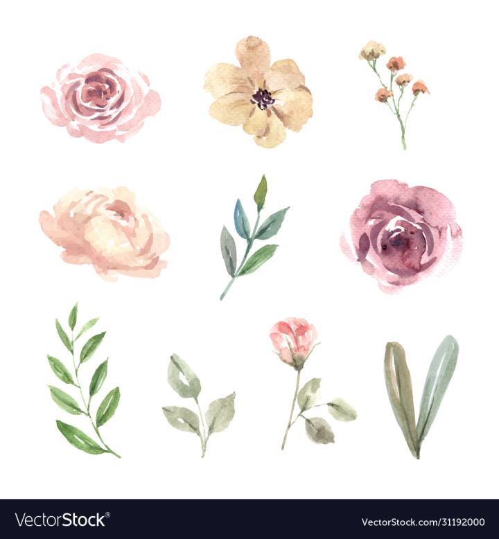 vectorstock,Watercolor,Wedding,Floral,Flower,Greenery,Rustic,Bouquet,Bohemian,White,Background,Design,Forest,Element,Invitation,Vintage,Chic,Botanical,Card,Decorative,Object,Drawn,Garden,Pastel,Drawing,Luxury,Nature,Leaf,Composition,Elegant,Rose,Decoration,Creative,Collection,Poster,Beautiful,Greeting,Anemone,Paint,Style,Print,Leaves,Light,Branch,Green,Celebration,Foliage,Set,Isolated,Coloring,Illustration,Pink,Moody