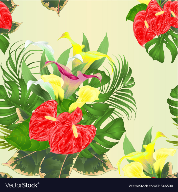 vectorstock,Tropical,Seamless,Flowers,Flower,Texture,Pattern,Leaves,Hawaii,Summer,Bouquet,Background,Yellow,Anthurium,Floral,Paper,Watercolor,Wallpaper,Vintage,Illustration,Pink,Lilies,Ficus,Cala,Vector,Nature,Exotic,Foliage,Retro,Jungle,Leaf,Botanical,Petal,Blossom,Arrangement,Flora,Palm,Decoration,Beautiful,Textile,Wrapping,Closeup,Philodendron,Hand,Draw,Design,Plant,Spring,Green,Paradise,Graphic