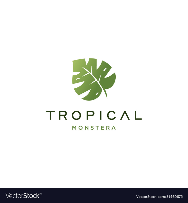 vectorstock,Leaf,Tropical,Logo,Tree,Palm,Monstera,Jungle,Summer,Beach,Icon,Tropics,Banner,Trendy,Minimal,Design,Plant,Nature,Vector,Illustration,Background,Print,Travel,Sign,Simple,Line,Flat,Flora,Symbol,Logotype,Decoration,Emblem,Botanical,Rainforest,Natural,Frame,Organic,Green,Shape,Template,Business,Element,Holiday,Health,Vacation,Creative,Isolated,Concept,Ecology,Eco,Graphic