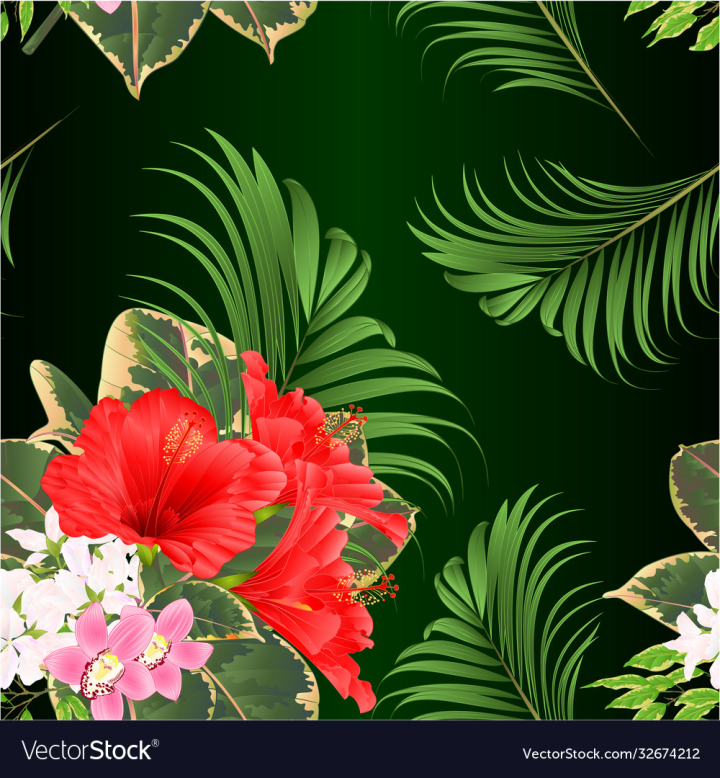 vectorstock,Tropical,Background,Flowers,Hibiscus,Seamless,Texture,Floral,Jungle,Pattern,Leaf,Leaves,Palm,Arrangement,Orchid,Flower,Summer,Watercolor,Green,Pink,Cymbidium,Red,Bouquet,Spring,Vintage,Bloom,Illustration,Ficus,Vector,Wallpaper,Retro,Design,Exotic,Philodendron,White,Petal,Blossom,Paper,Beauty,Flora,Decoration,Beautiful,Botany,Textile,Wrapping,Closeup,Hand,Draw,Nature,Plant,Paradise,Foliage,Isolated,Botanical,Graphic