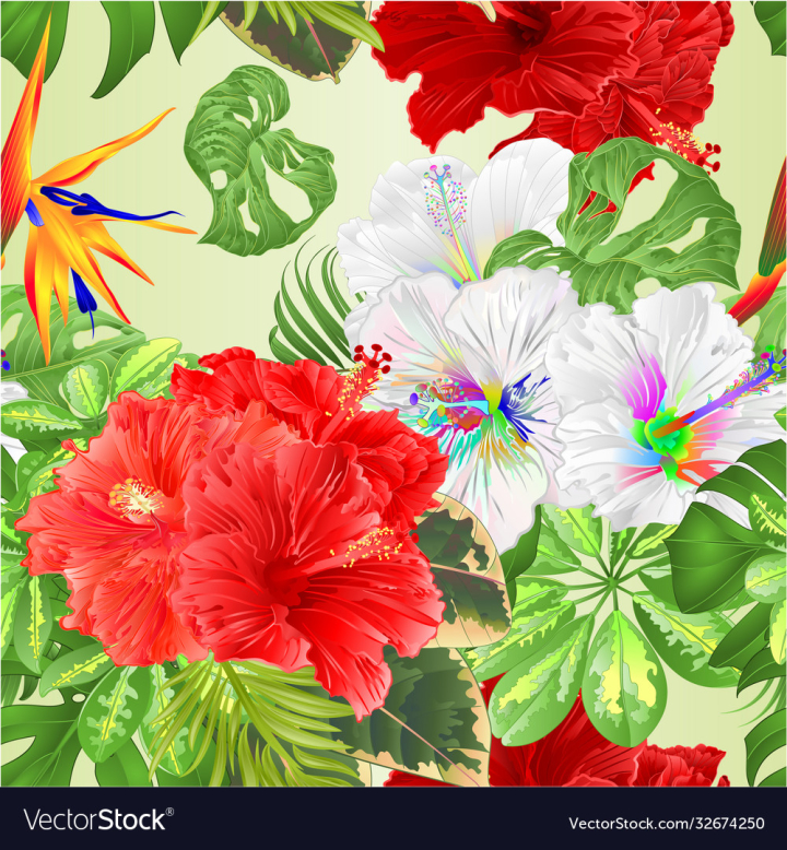 vectorstock,Seamless,Tropical,Flower,Floral,Flowers,Pattern,Background,Watercolor,Bouquet,Texture,Hawaiian,Botanical,Hibiscus,Pink,Paradise,Vintage,Arrangement,Textile,Natural,Flora,Illustration,Ficus,Vector,Schefflera,Hawaii,Wallpaper,Design,Nature,Leaf,Spring,Foliage,Retro,Summer,Green,Exotic,Palm,White,Petal,Blossom,Paper,Beauty,Decoration,Beautiful,Wrapping,Closeup,Philodendron,Strelitzia,Hand,Draw,Jungle,Leaves,Plant,Isolated,Graphic