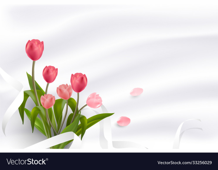 vectorstock,Tulip,Spring,Flower,Garden,Landscape,Summer,Field,March,May,Realistic,Eps10,Bouquet,Floral,Season,Tulips,White,Background,Red,Design,Petal,Blossom,Pink,Nature,Plant,Leaf,Color,Beauty,Bright,Green,Bloom,Flora,Gift,Colorful,Isolated,Beautiful,Closeup,Illustration,Love,Blue,Light,Sky,Purple,Fresh,Yellow,Holiday,Romantic,Celebration,Decoration,Set,Greeting,Freshness,Springtime