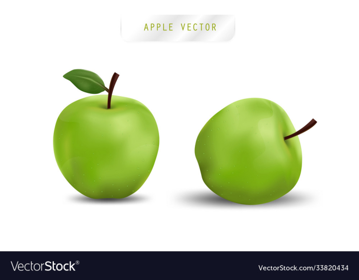 vectorstock,Apple,Green,Red,Slice,Fresh,Fruit,White,Background,Icon,Nature,Leaf,Sign,Natural,Food,Organic,Eat,Sweet,Cut,Health,Symbol,Half,Set,Isolated,Freshness,Healthy,Delicious,Nutrition,Diet,Vitamin,Closeup,Vegetarian,Juicy,Ripe,Raw,Vector,Design,Summer,Plant,Group,Color,Object,Bright,Dessert,Snack,Dieting,Tasty,Whole,Vegan,Graphic,Illustration