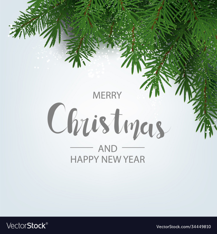 vectorstock,Christmas,Border,Tree,Branch,Decorative,Holiday,Pine,Santa,Top,Frame,Holidays,Modern,Claus,Card,Decoration,Sweet,Merry,Background,Candy,Banner,Ball,Happy,Design,Bright,Brown,Composition,Flat,Element,Gift,Celebration,Decor,Isolated,Greeting,Golden,Header,Closeup,Lay,Art,Snow,White,Red,Winter,Nature,View,Season,Ribbon,New,Ornament,Present,Set,Year,Traditional,Tinsel