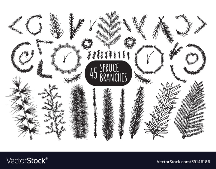 vectorstock,Christmas,Spruce,Pine,Wreath,Hand,Drawn,Pinecone,Cedar,Vintage,Border,Branch,Branches,Tree,Winter,Black,Twig,Frame,Elements,Xmas,Fir,Set,Drawing,Silhouette,Doodles,Vector,Isolated,Happy,Retro,Sketch,Symbol,Needle,Festive,Collection,Greeting,Thanksgiving,Vacations,Graphic,Illustration,Art,Design,Nature,Plant,Decorative,Season,Holiday,Wood,Celebration,Merry,December,Year,Traditional,Rustic