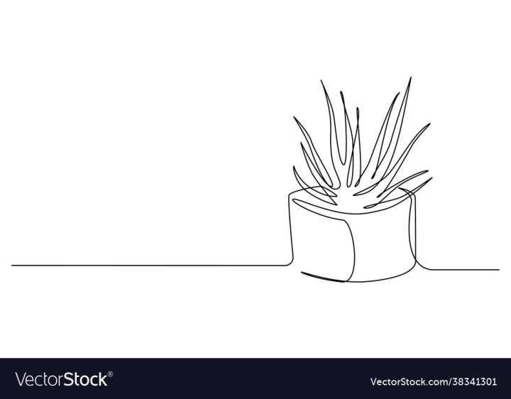 Line,One,Continuous,Flower,Art,Succulent,Lineart,Drawn,Aloe,Drawing,Single,Illustration,Cactus,Vera,House,Plant,Hand,Simple,Pot,Pattern,Background,Sketch,Logo,Home,Icon,Vector,Minimalist,Silhouette,Leaf,Outline,Mexico,Floral,Summer,Doodle,Linear,Decorative,Graphic,Design,Tropical,Stroke,Houseplant,Interior,Simplicity,Mexican,Flora,Botanical,Isolated,Contour,Sign,Eco,vectorstock