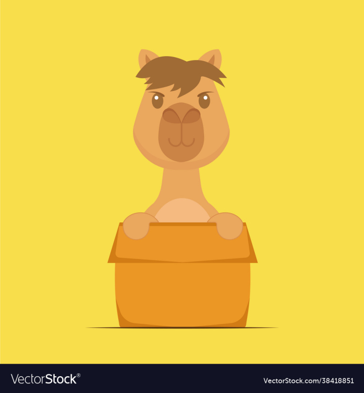 Animal,Camel,Cartoon,Playing,Box,Cute,Animals,Comic,Cheerful,Character,Flat,Baby,Sticker,Drawing,Background,Design,Fun,Vector,Graphic,Mammal,Isolated,Icon,Funny,Smile,Young,Pet,Nature,Happy,Illustration,vectorstock
