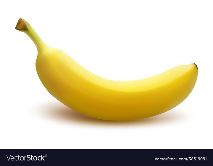 Banana,Food,Fruit,Background,White,Object,Front,Ingredient,Eating,Healthy,Isolated,Nobody,Full,Natural,Fresh,Green,Bunch,Ripe,Tropical,Peel,Vegetarian,Tasty,Produce,Sweet,Snack,Single,One,Yellow,Succulent,vectorstock