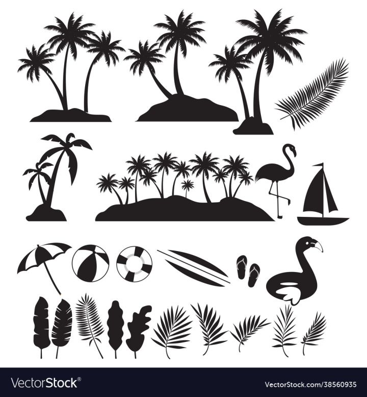 Background,Template,Summer,Set,Vector,Leaf,Frame,Travel,Business,Sale,Banner,Tree,Event,Tropical,Fresh,Shopping,Palm,Vacation,Cool,Promotion,Monstera,vectorstock