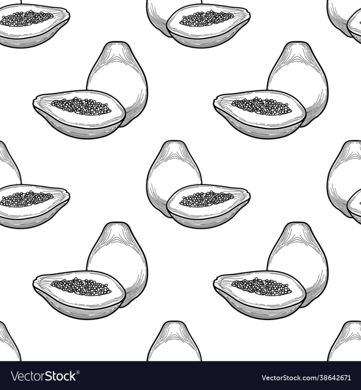 Pattern,White,Papaya,Black,Background,Vector,Logo,Juicy,Tropics,Dessert,Linear,Diet,Nutritious,Hand Drawn,Slice,Market,Ripe,Vegan,Pawpaw,Doodle,Cooking,Drawn,Agriculture,Summer,Food,Line,Icon,Vintage,Natural,Outline,Stylized,Nature,Retro,Illustration,Drawing,Sketch,Seed,Fresh,Plant,Vegetarian,Hand,Healthy,Freshness,Isolated,Health,Exotic,Sweet,Organic,Fruit,Tropical,vectorstock