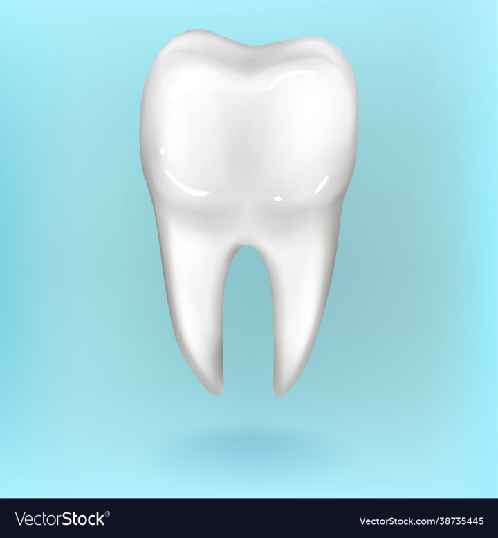 Dental,Teeth,Tooth,Clinic,Medical,Handle,Floss,3d,Model,Rendering,Premolar,Illustration,Healthcare,Hygiene,Concept,Object,Blue,Background,Accessory,Dentistry,White,Dentist,Clean,Mouth,Health,Care,Molar,Orthodontist,Orthodontic,Tool,Flossing,Practitioner,Treatment,Ideas,Toothbrush,Oral,Healthy,Instrument,Human,Medicine,vectorstock