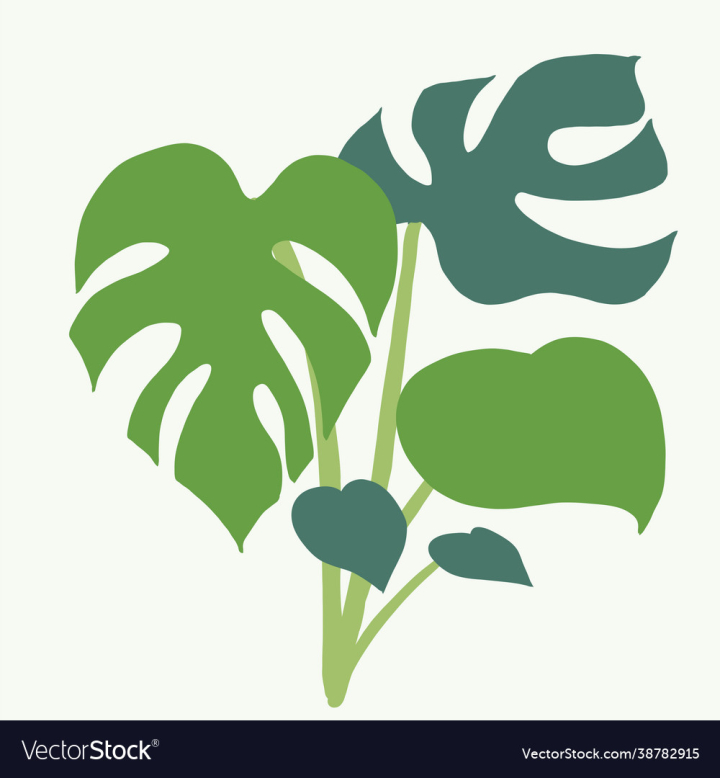 Monstera Leaf Clipart Hd PNG, Line Drawing Vector Monstera Leaf, Monster  Drawing, Leaf Drawing, Wing Drawing PNG Image For Free Download