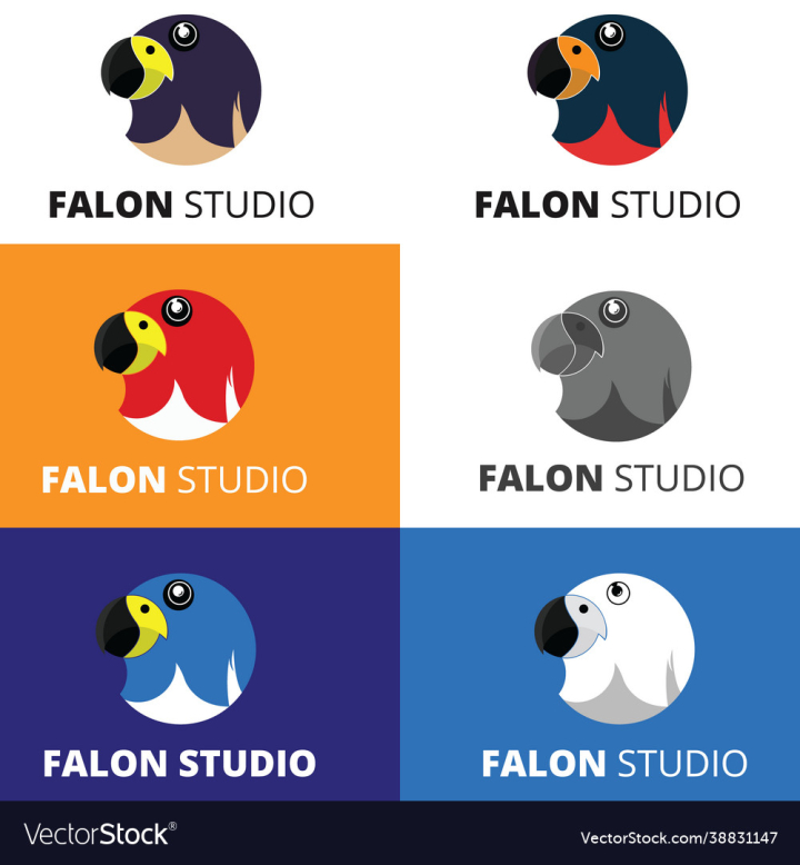 Studio,Falcon,Camera,Logos,Drawing,Illustration,Graphic,Design,Digital,Logo,vectorstock