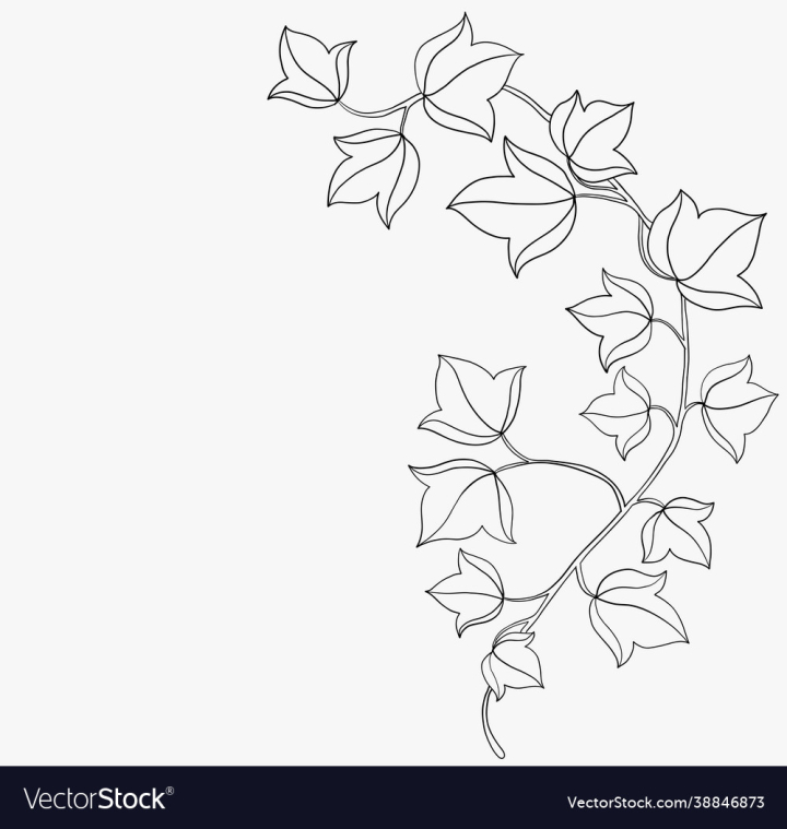 Hanging vines Vectors & Illustrations for Free Download