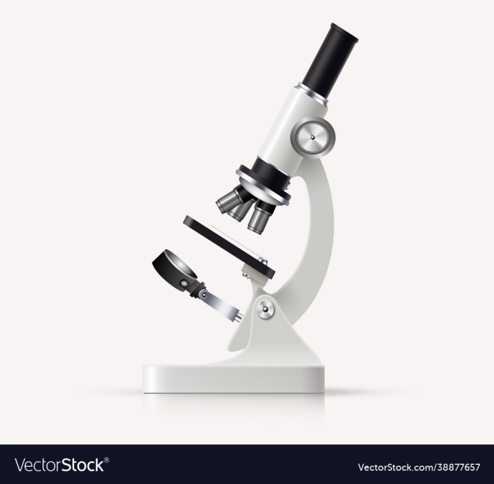 Microscope,Pharmaceutical,Medical,Science,Lab,Black,Investigation,White,Discovery,Experiment,Research,Laboratory,Concepts,Clinic,Biotechnology,Diagnosis,Microbiology,Clinical,Analyzing,Lens,Equipment,Biology,Hospital,Instrument,Isolated,Gray,Technology,Optical,Optics,Magnify,Objective,Scientific,Zoom,Nobody,One,Single,Medicine,Studying,Scientist,Object,Microscopy,vectorstock