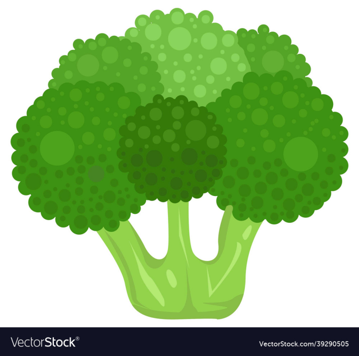 Broccoli,Icon,Fresh,Illustration,Tree,Green,Vector,Eco,Ecology,Oak,Concept,Environment,Symbol,Forest,Wood,Vegetable,Art,Food,Bush,Spring,Leaf,Design,Branch,Plant,Nature,Garden,Summer,Leaves,Organic,Vegetarian,Vegan,Raw,Nutrition,Vitamin,Diet,Ingredient,Agriculture,Healthy,Freshness,Isolated,Natural,Health,vectorstock