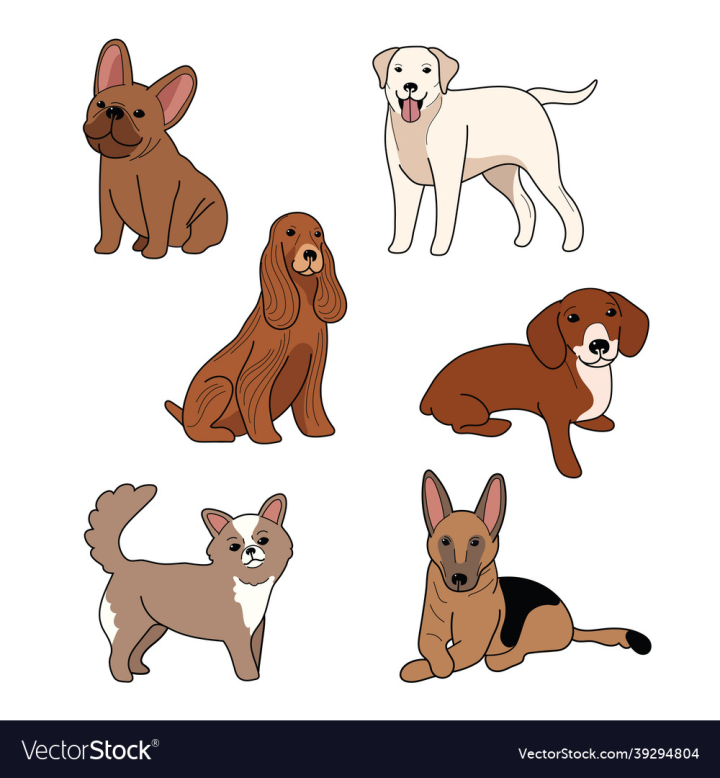 Dog,Breeds,Weiner,Dogs,French,Bulldog,Labrador,Cocker,Spaniel,vectorstock