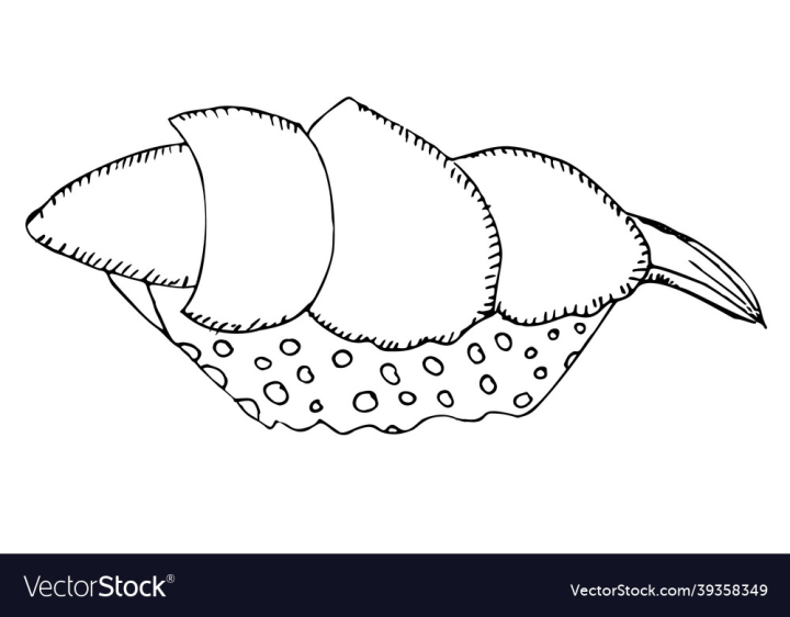 Piece,Salmon,Roll,Rice,Fish,Sushi,Object,Food,Isolated,Vector,Shrimp,Seafood,California,Maki,Sashimi,Red,Seaweed,Caviar,Japanese,Illustration,Raw,Vegetable,Clipart,Exoticism,And,Oriental,Healthy,Snack,Sketch,Meal,Eat,Restaurant,Asian,Japan,Drink,vectorstock