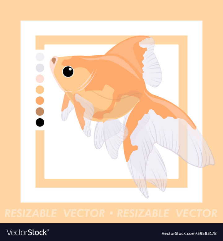 Goldfish,Pets,Aesthetic,Fish,Cute,Gold,Golden,Carp,Minimalistic,Koi,Realistic,Vector,Hand,Drawn,Flat,Art,vectorstock