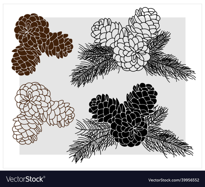 Christmas,Tree,Black,White,Branches,Forest,Pine,Engraved,Coniferous,Nuts,Needles,Cedar,Engraving,Evergreen,January,Wrapping,Textile,Pinecone,December,Vector,Merry,Conifer,Joy,Outline,Wood,Green,Snow,Organic,Ink,Branch,Gift,Winter,Decoration,Art,Illustration,Graphic,Vintage,Plant,Nature,Leaf,Natural,Fir,New,Year,Cone,vectorstock