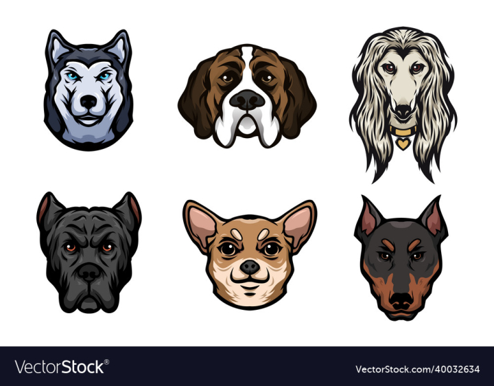 Dog,Head,Siberian,Husky,Animal,Wildlife,Pet,Wild,Breed,Chihuahua,Afghan,Hound,St,Bernard,vectorstock
