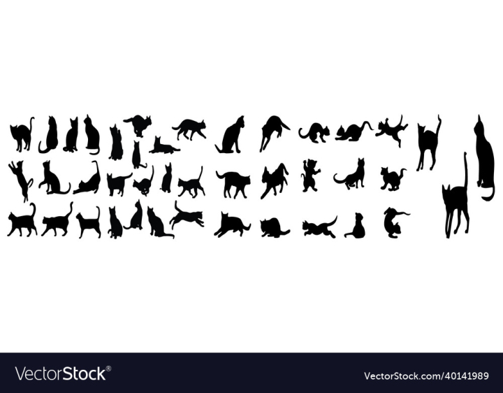 Cat,Silhouette,Black,Element,Design,Animal,Fur,Halloween,Chat,Contour,Beautiful,Clip,Evil,Elegant,Elegance,Different,Furry,Grace,Graphic,Illustration,Cute,Art,Cartoon,Domestic,Background,Feline,Eye,Action,Group,Icon,Mysterious,Vector,Pussycat,Ink,Outline,Paw,Pet,Kitty,Painting,Tail,Kitten,Mammal,Pose,Reflection,Isolated,Posing,Model,Myth,White,Pencil,vectorstock