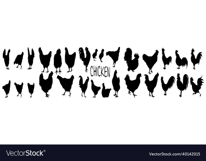 Chicken,Farm,Poultry,Animal,Chick,Black,Flying,Crest,Isolated,Easter,Bird,Imagery,Symbol,Hen,Nest,Graphic,Illustration,Art,Clipart,Image,Crown,Character,Freedom,Food,Background,Design,Icon,Feather,Cartoon,Arrow,Sign,Clip,Egg,Nature,White,Picture,Standing,Vector,Sit,Laying,Posing,Tattoo,Label,Mother,Rooster,Wing,Silhouette,Organic,Natural,Quality,vectorstock