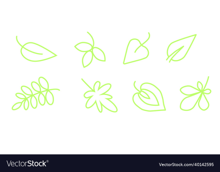 Set,Leaves,Green,Vector,Nature,Leaf,Line,Eco,Emblems,Illustration,Icon,Decorative,Floral,Cute,Symbol,Spring,Tree,vectorstock