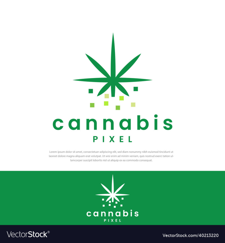 Cannabis,Logo,Concept,Organic,Design,Digital,Illustration,Vector,Medical,Symbol,Connection,Elegant,Legal,Herbal,Eco,Element,Clinic,Marijuana,Essence,Computer,Art,Oil,Drop,Leaf,Abstract,Sign,Icon,Communication,Green,Business,Background,Narcotic,Nature,Flower,Pharmacy,Graphic,Idea,Modern,Healthy,Plant,Internet,Technology,Isolated,Natural,Studio,Template,Health,Hospital,Medicine,vectorstock
