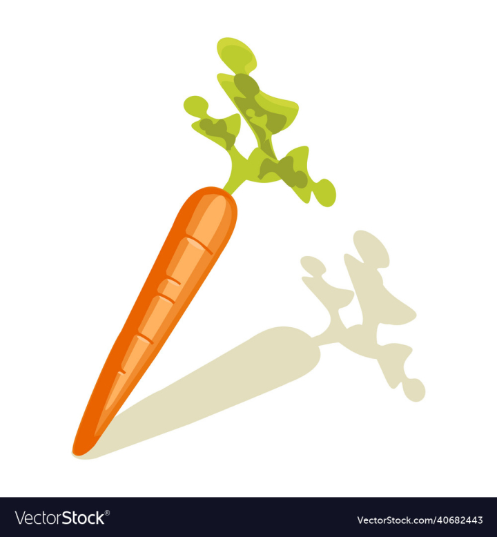 Free Carrot Vegetable Nohat Cc