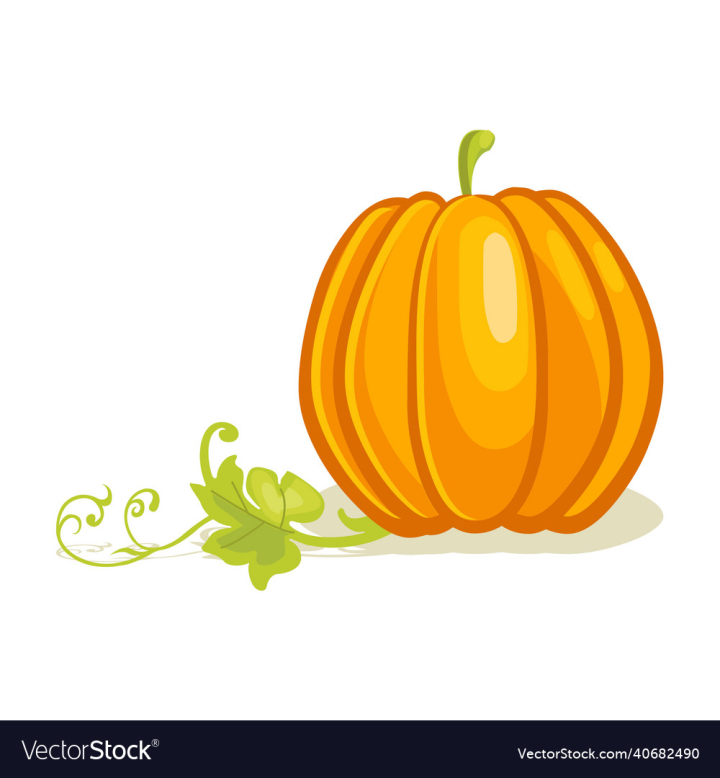 Free: pumpkin vegetable - nohat.cc