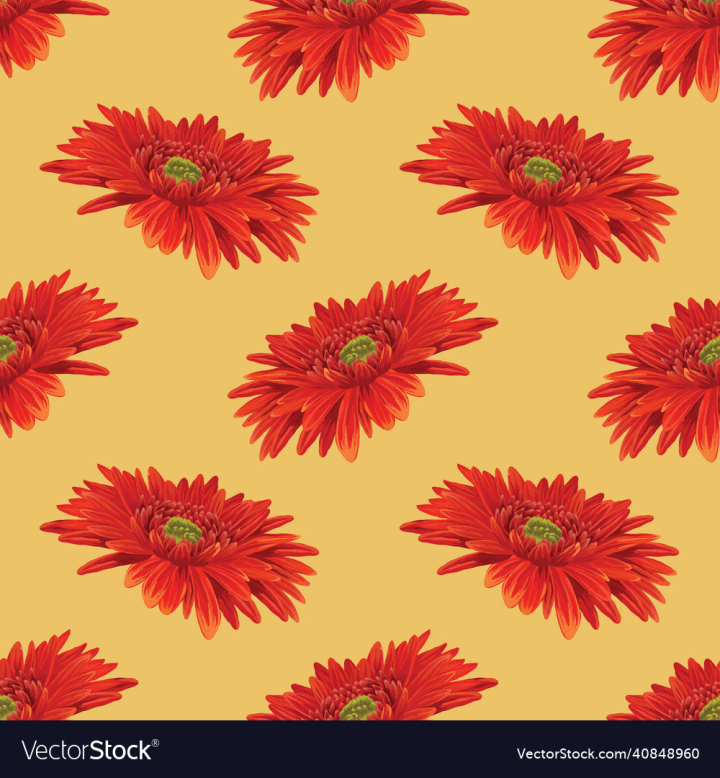 Pattern,Seamless,Floral,Design,Decorative,Background,Flora,Petals,Decoration,Colorful,Beautiful,Floriculture,Sunflowers,Bright,Art,Top,View,Flat,Bloom,Natural,Lay,Pink,Color,Pollen,Spring,Flower,Petal,Blossom,Red,Garden,Illustration,Wallpaper,Summer,Orange,Nature,Plant,Leaf,Sunflower,Yellow,Texture,vectorstock