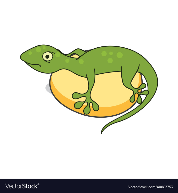 Lizard,Egg,Secure,Cartoon,Sit,Safe,Green,Yellow,Artistic,vectorstock
