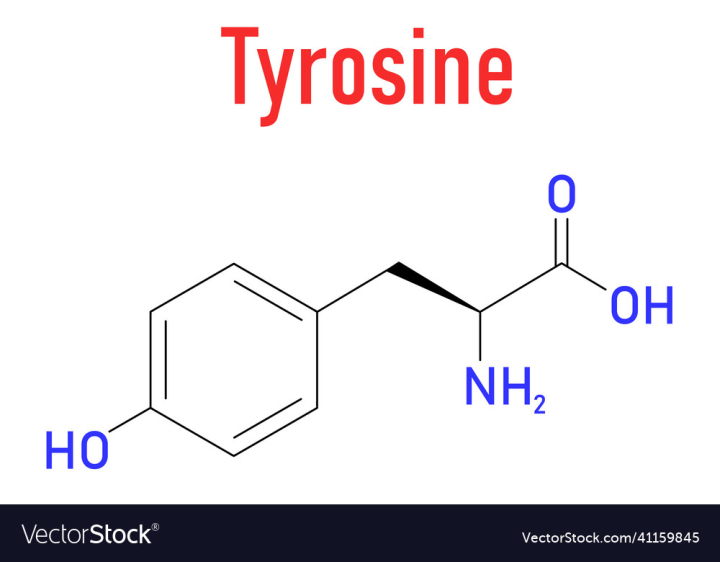 Tyrosine,Molecule,Amino,Acid,Formula,Skeletal,Medical,Tyr,Y,Hydrogen,Atoms,Icon,Chemical,Drawing,Compound,Chemistry,Atomic,Medicine,Science,Flat,Composition,Cheese,Food,Line,Carbon,Phenol,Nutritional,Peptide,Nitrogen,Supplement,Protein,Molecular,Structure,Oxygen,vectorstock
