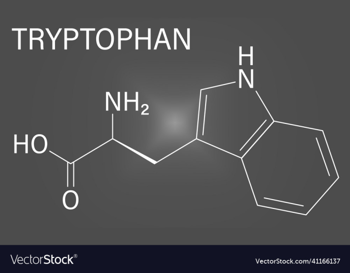 Chemistry,Formula,Amino,Molecule,Acid,Tryptophan,Skeletal,Dietary,Antidepressant,Atoms,Chemical,Icon,Carbon,Compound,Drawing,Hydrogen,Atomic,Medical,Biosynthesis,Aid,Science,Essential,Flat,Composition,Food,Serotonin,Nitrogen,Supplement,Structure,Protein,Nutritional,Molecular,Turkey,Sleep,Oxygen,Medicine,Meat,Line,vectorstock