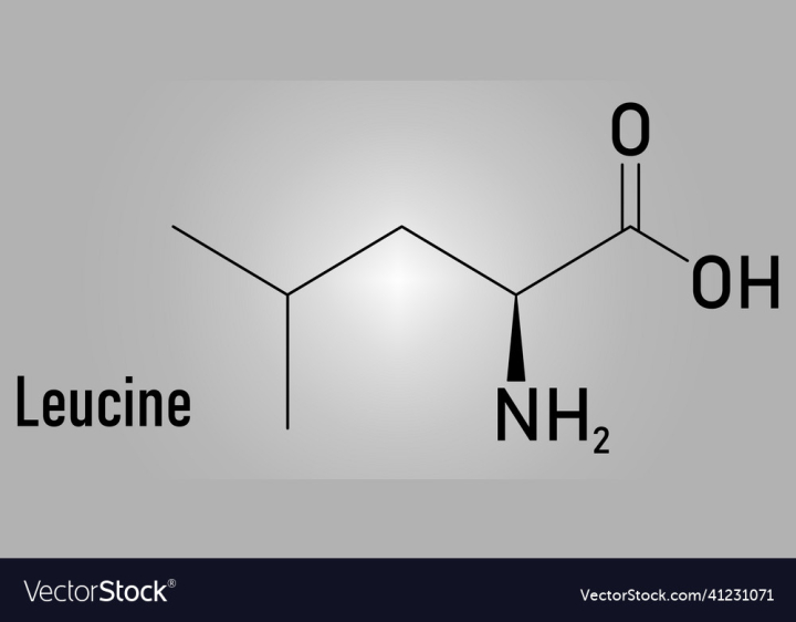 Molecule,Acid,Leucine,Amino,Formula,Skeletal,Hydrogen,Supplement,Nitrogen,Polypeptide,Peptide,Supplementation,Biosynthesis,Protein,Medical,Food,Science,Flavor,Muscle,Sports,Oxygen,Compound,Line,Composition,Flat,Essential,Medicine,Atomic,Carbon,Atoms,Dietary,Chemistry,Chemical,Molecular,Icon,Structure,Drawing,vectorstock