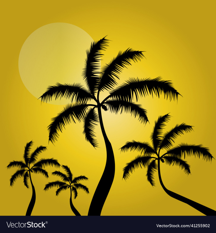 Trees,Beach,Silhouette,Palm,Sunset,Tropical,Background,Decorative,vectorstock