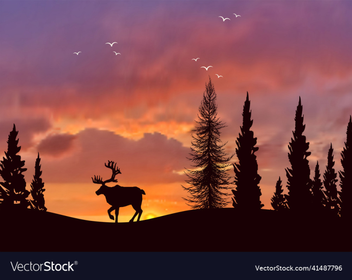 Free: wildlife landscape with reindeer forest at sunset 