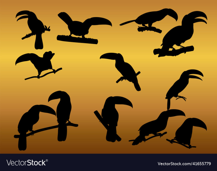 Animal,Bird,Toucan,Animals,Silhouette,Silhouettes,Wildlife,Cartoon,Exotic,Colorful,Fauna,Beautiful,Adorable,Wild,Feather,Tail,Wings,Illustration,vectorstock