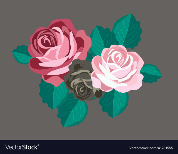 vectorstock,Rose,Sketch,Flower,Roses,Artistic,Leaf,Green,Brush,Paint,Art,Botanical,Lovely,Beautiful,Colorful,Bouquet,Flora,Bloom,Natural,Beauty,Nature,Floral,Blossom,Drawn,Flourish,Paper,Spring,Watercolor,Pink,Retro
