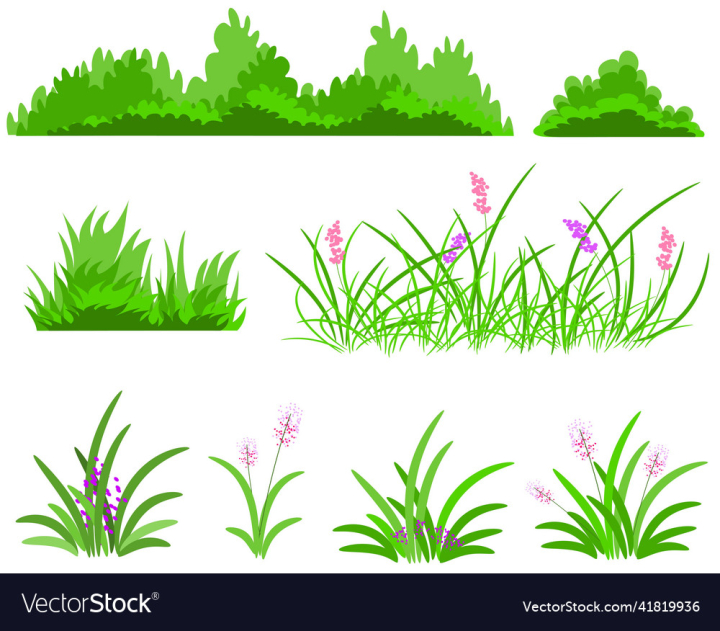 vectorstock,Grass,Bush,Bushes,Set,Reed