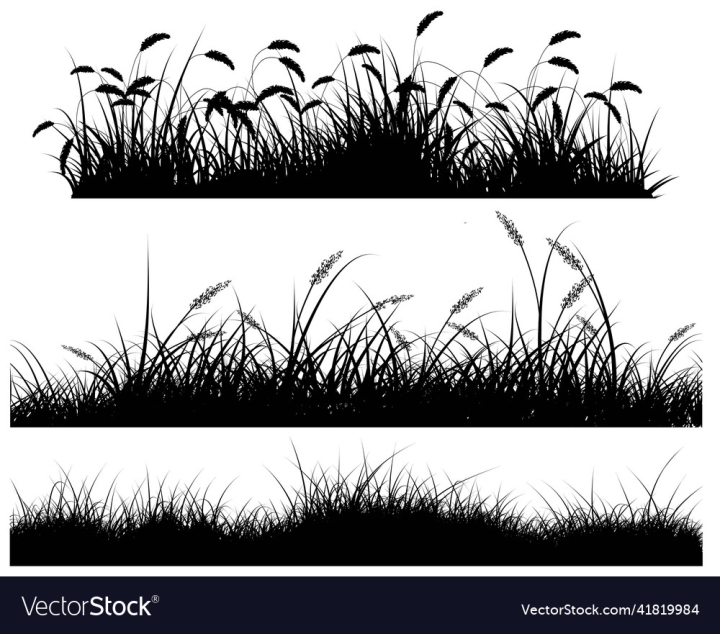 vectorstock,Reeds,Silhouette,Black,Background,Wild